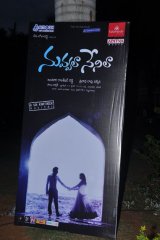 Nuvvala Nenila Audio Launch